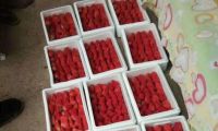 订购草莓可打热线！汉沽街帮农户找销路