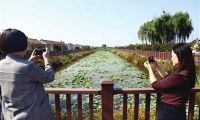 把家乡建得像花园──宁河区东棘坨镇毛毛匠村“后进”变“先进”纪实