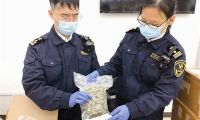 天津海关连续查获走私大麻案件：11天14起 进口包裹内藏毒