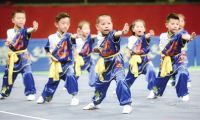 首届天津市幼儿武术比赛举行