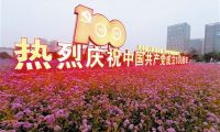 天津市“庆祝建党一百周年精品主题花坛作品”评选揭晓