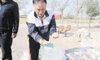 新鲜小站稻米端上市民餐桌