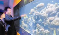 天津海关开展专项行动 查扣活体石珊瑚2313株
